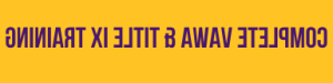 Text Graphic that says VAWA & Title IX in purple font on a yellow background.